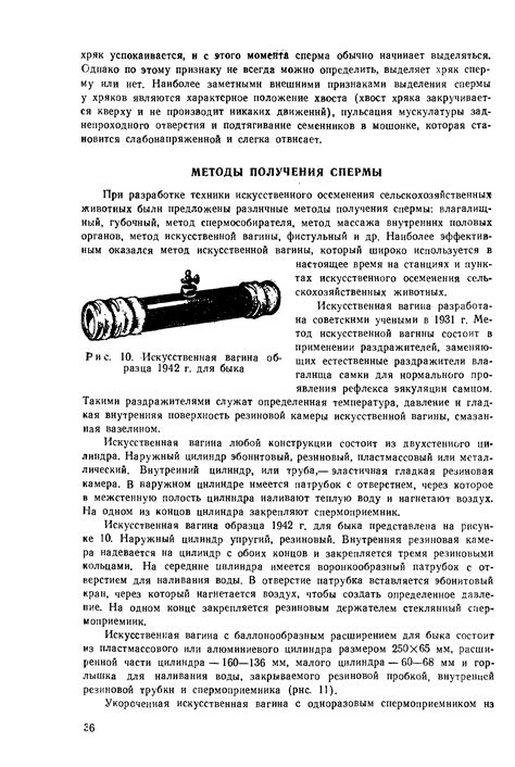 Искусственная вагина образца 1942 г. для быка