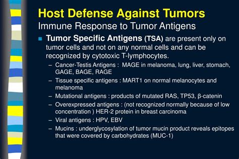 Ppt Neoplasia Vi Tumor Host Interactions Powerpoint Presentation Free Download Id 858385