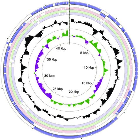 Circular Map Of The Vb Sens Ent Genome Prepared Using Cgview The