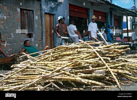 Brazil sugar cane hi-res stock photography and images - Alamy