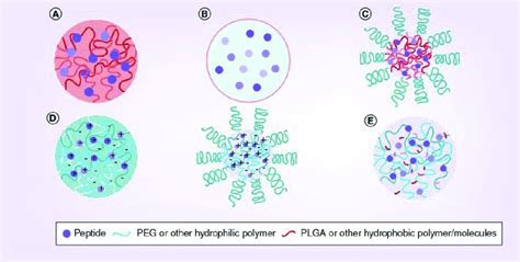 Particulate Carrier Systems For Peptide Deliverya Plga Based