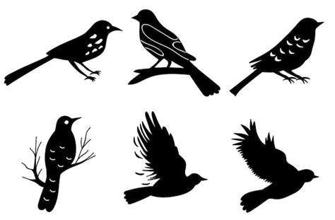 Premium Vector Birds Black Silhouette Isolated Vector