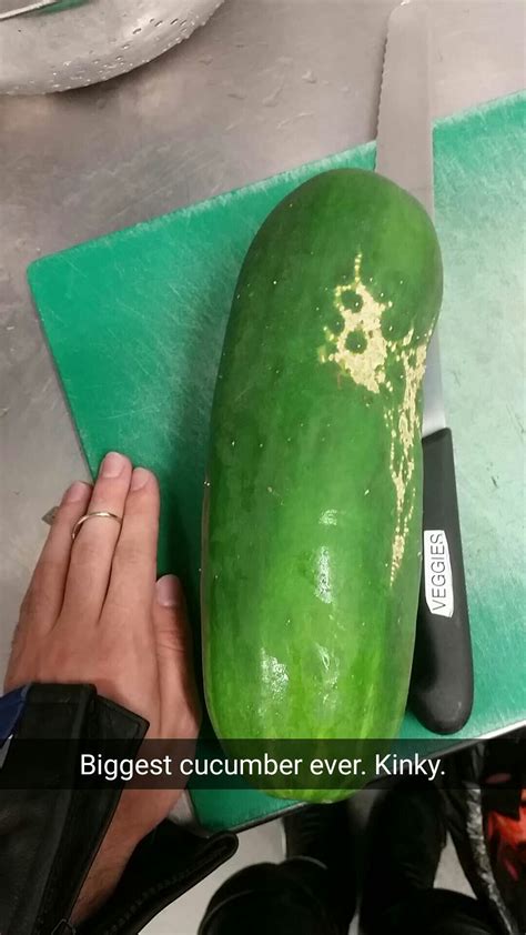 Henry Wont Deny Us Our Girthy Cucumbers R Mxrplays