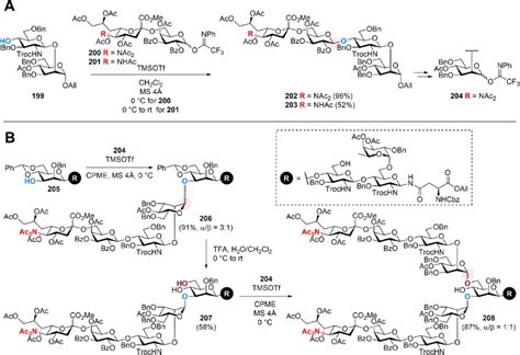 Scheme 45 Synthesis Of Core Fucose Containing α26 Sialylated Download Scientific Diagram