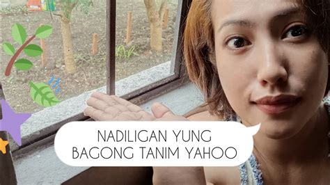 Mabuti Pa Yung Tanim Nadiligan Dahil Umulan Youtube