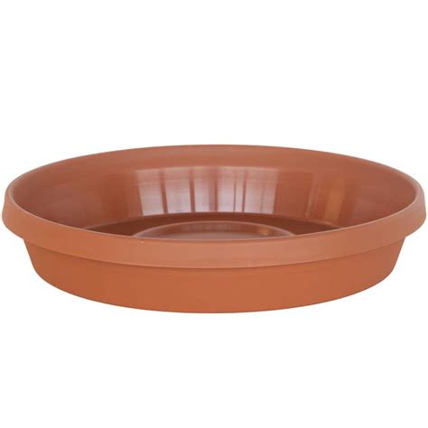 Have A Question About Bloem Terra In Terra Cotta Plastic Plant