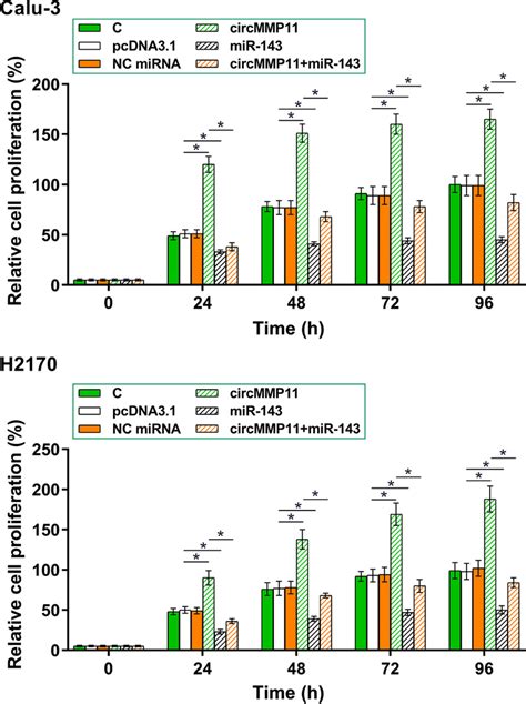 Circmmp Overexpression Increased The Proliferation Of Calu And