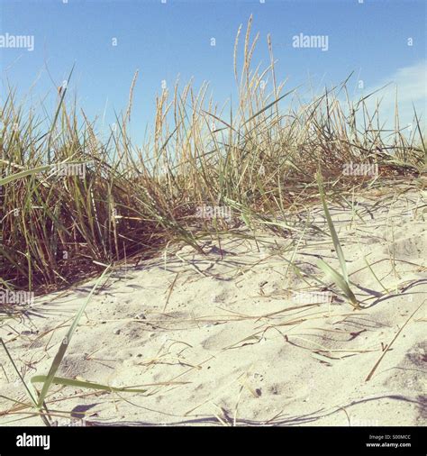 Malmo beach hi-res stock photography and images - Alamy