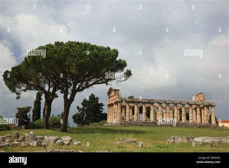 El Athenaion Ceres O Templo De Atenea En Paestum Campania Italia