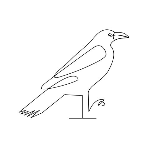 Crow Bird Continuous Single Line Art Outline Drawing Of Minimalism