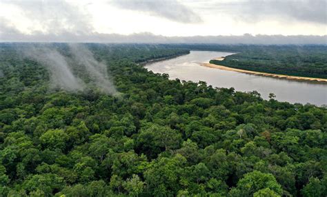 Desmatamento Em Terras Ind Genas Acentua Emiss O De Carbono Na Amaz Nia