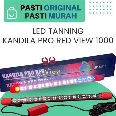 Promo Led Tanning Kandila Pro Red View Lampu Warna Ikan Arwana