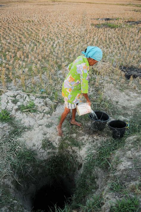 Kekeringan Antara Foto