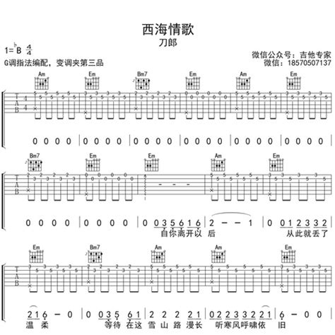 《危险派对》吉他谱王以太刘至佳吉他伴奏谱c调版 吉他堂