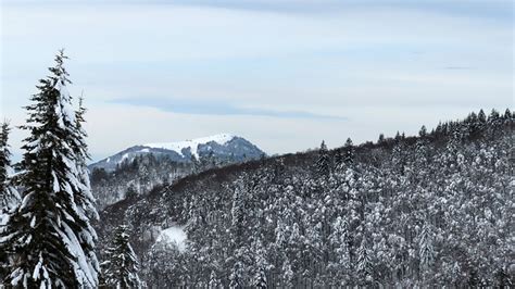 Im S Dwesten Der Belchen Fotos Hikr Org