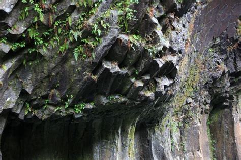 Free Images Tree Nature Forest Rock Trail Leaf Trunk Formation