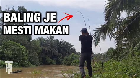 TERNYATA DISINI LUBUK PELBAGAI JENIS IKAN MEMANCING IKAN BAUNG LAMPAM