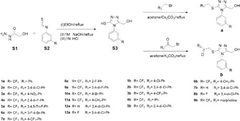 Scheme 1 Synthesis Of Compounds 1a−13a And 1b−9b A Download Scientific Diagram