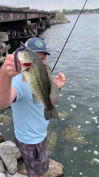 Catching Pre Spawn Largemouth Bass Youtube