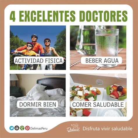 Vida Saludable 4 Factores Claves Para Un Estilo De Vida Sano Blog Vive Sano