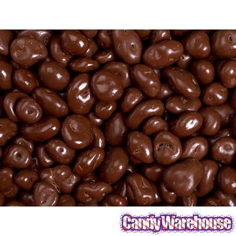 Brach's Chocolate Covered Raisins Candy: 12-Ounce Bag | Candy Warehouse