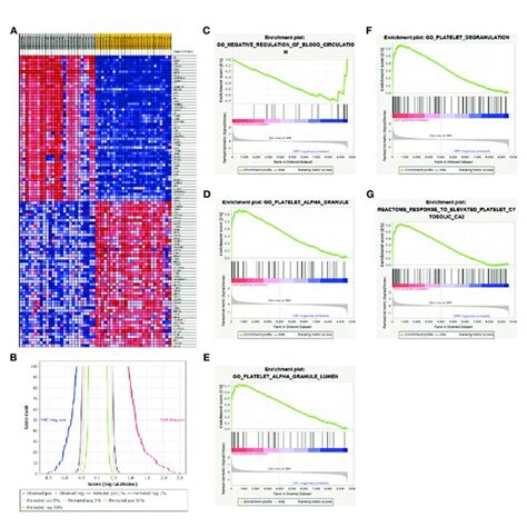 A GSEA Software Are Used To Create A Heat Map Of The Top 50 Genes