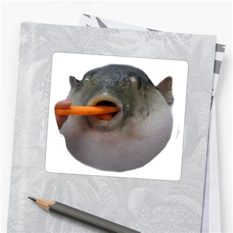 "Pufferfish Eating a Carrot" Sticker by Martinii42 | Redbubble