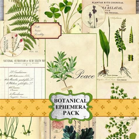 Botanical Junk Journal Kit Printable Journal Diy Paper Etsy