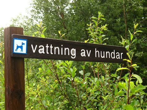 sign Watering of dogs Fulufjället National Park Dalarna Flickr