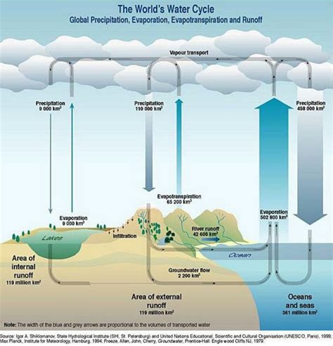 world water cycle (Source: Shiklomanov, 1993) | Download Scientific Diagram