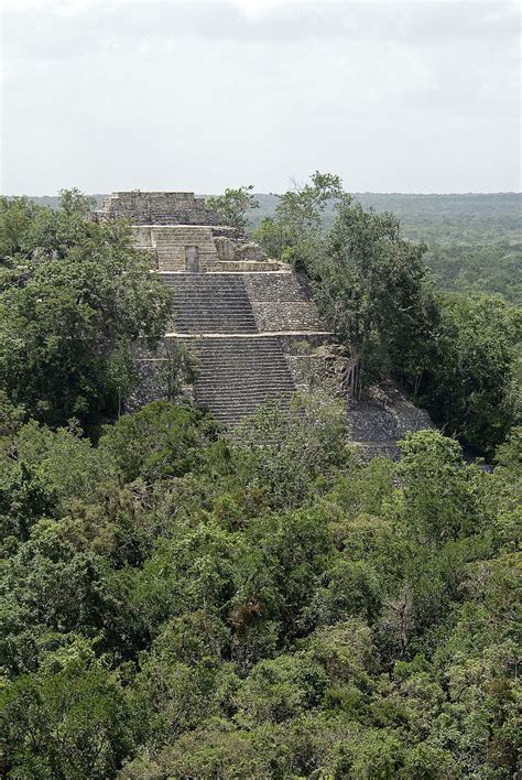 Mayan ruins. Calakmul. Campeche, Mexico – License image – 70249078 ...