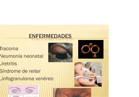 Chlamydia Bacteriologia Basica PPT