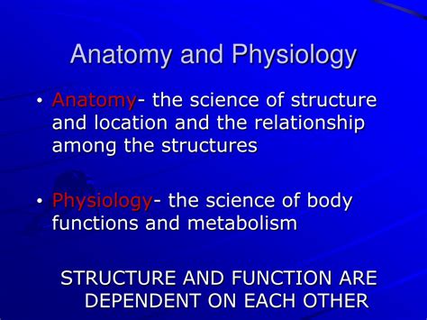 Ppt Intro To Anatomy And Physiology Powerpoint Presentation Free