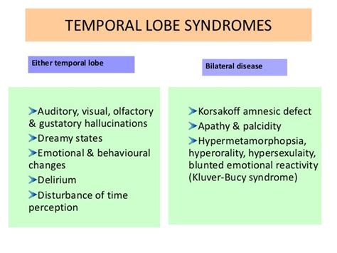 Temporal lobe ppt