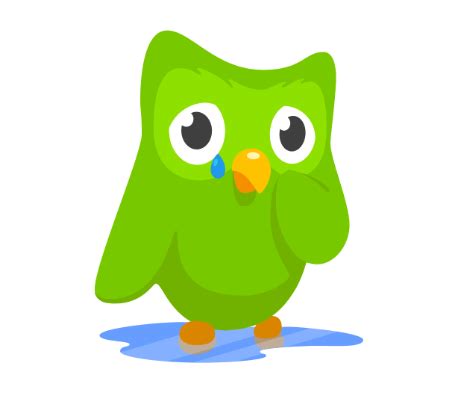 Duolingo is sad because you scrolled by without saying hi : r/memes