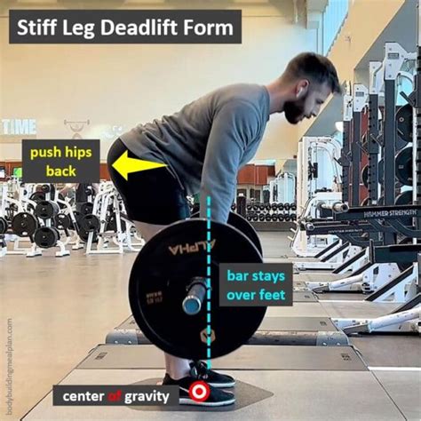 Stiff Leg Deadlift Guide: Form, Muscles Worked, & Variations