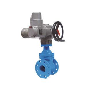 Válvula de compuerta de cuña 2700 VARIMEX VALVES Poland Sp z o o