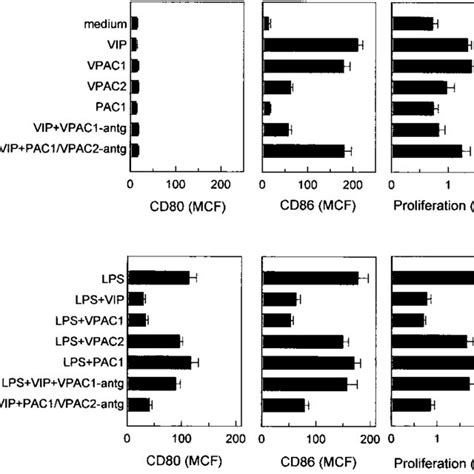 The Effect Of Vip Pacap Is Mediated Through Vpac1 B10 A Bm Dc 110 6 Download Scientific