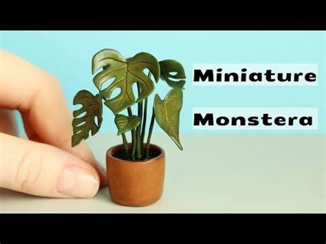 Монстера из полимерной глины💚Monstera made of polymer clay. - YouTube ...
