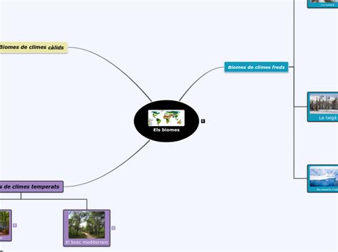 Els Biomes Mind Map