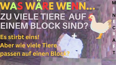 Minecraft Was W Re Wenn Wie Viele H Hner Haben Auf Ein Block Platz