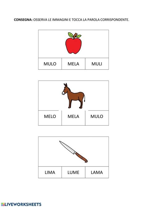 Parole Bisillabe Consonanti M L S Worksheet Cuadernos