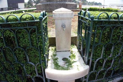 Portuguese fatima pilgrimage sites are seeing record crowds 22