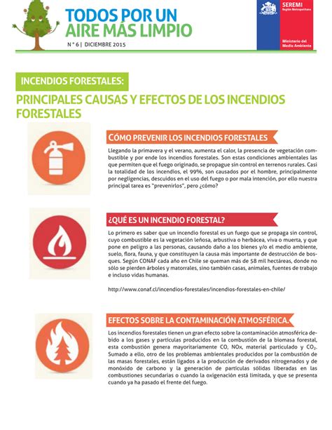 Principales Causas Y Efectos De Los Incendios Forestales