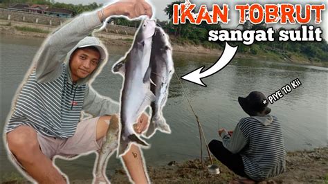 Sore Hari Mancing Ikan Tobrut Sangat Sulit Youtube