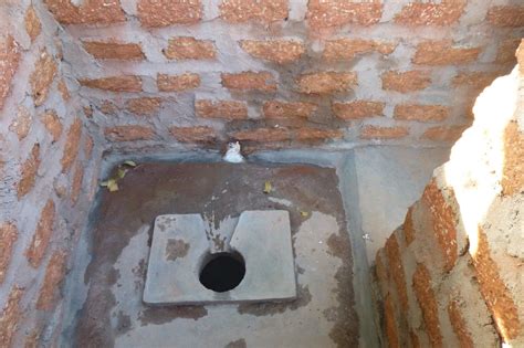 types  latrine  judith tomlin blog