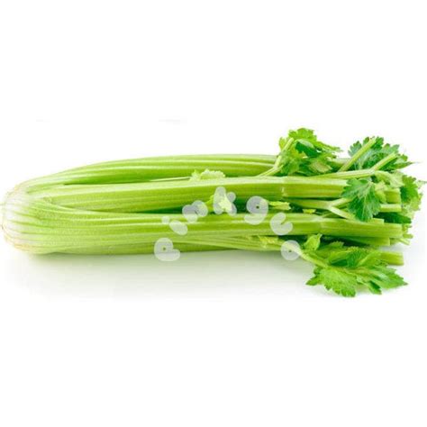 celery kg