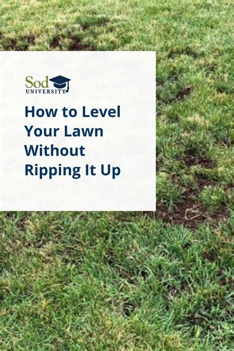 How To Level Your Lawn Without Ripping It Up Artofit