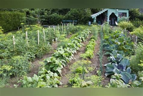 La Permaculture Une Solution écologique Aux Techniques Agricoles