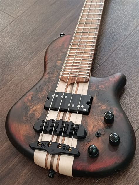 Mayones Cali Mini Bass Melacantomelasuono Bass Domus